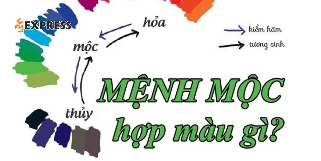 Mệnh mộc hợp màu gì