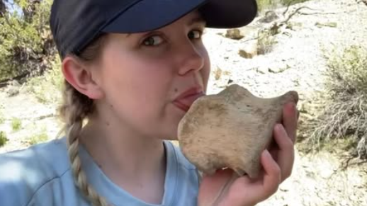 Nhà khảo cổ liếm đá để nhận biết hóa thạch thật: Sự thật khiến dân mạng dở khóc dở cười