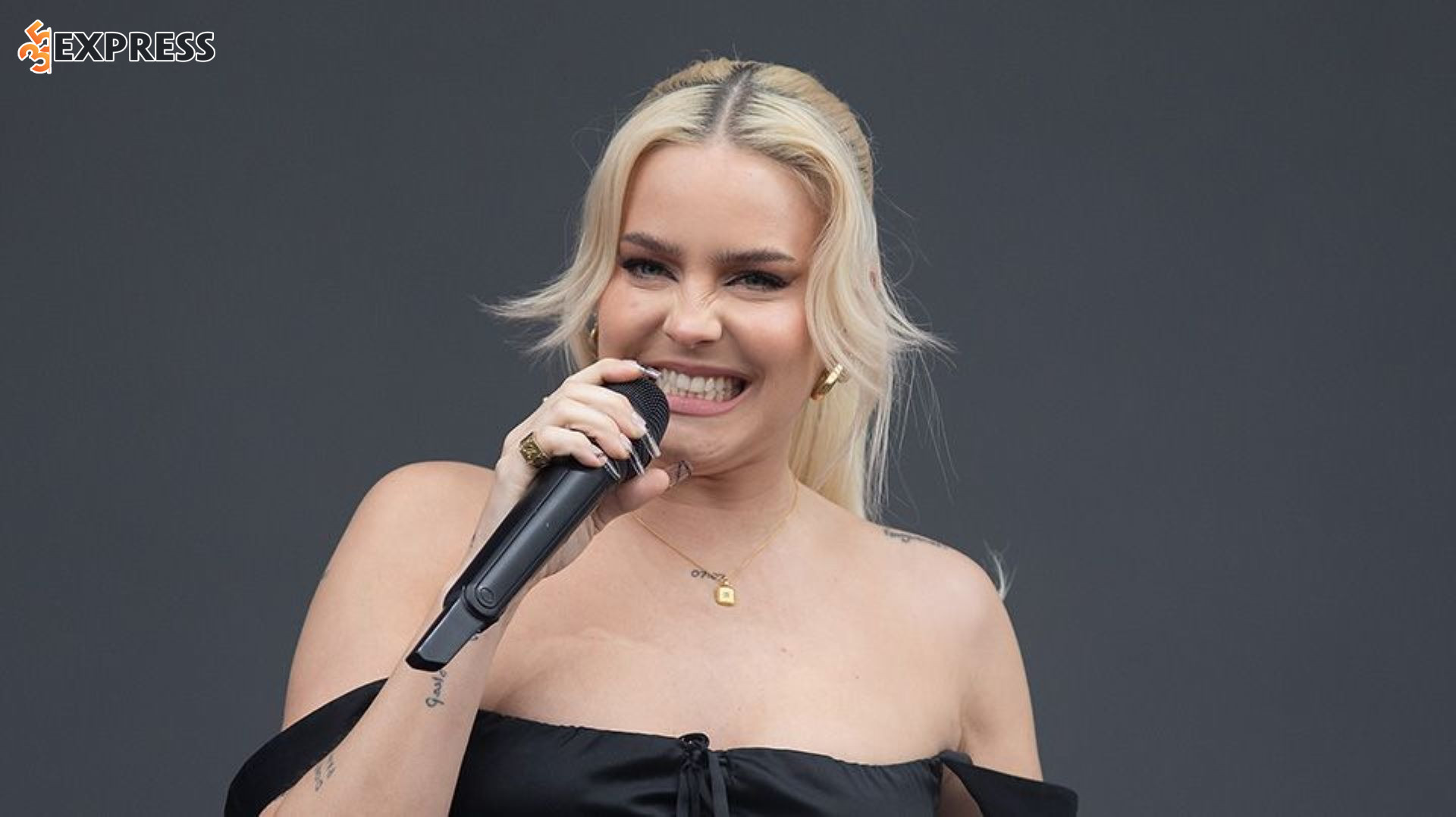 Anne-Marie, tên đầy đủ là Anne-Marie Rose Nicholson, là một nữ ca sĩ, nhạc sĩ nổi tiếng mang quốc tịch Anh