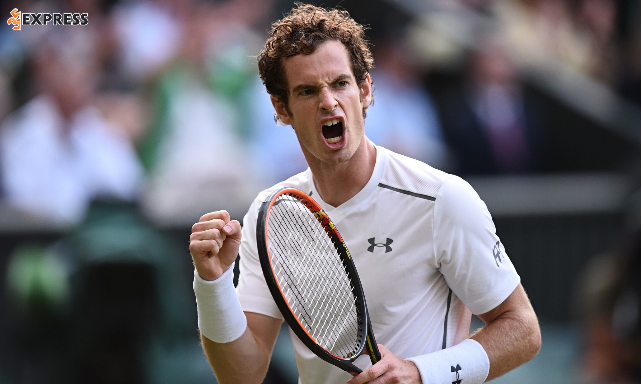 Giai đoạn 2012-2016 là thời kỳ hoàng kim của Andy Murray