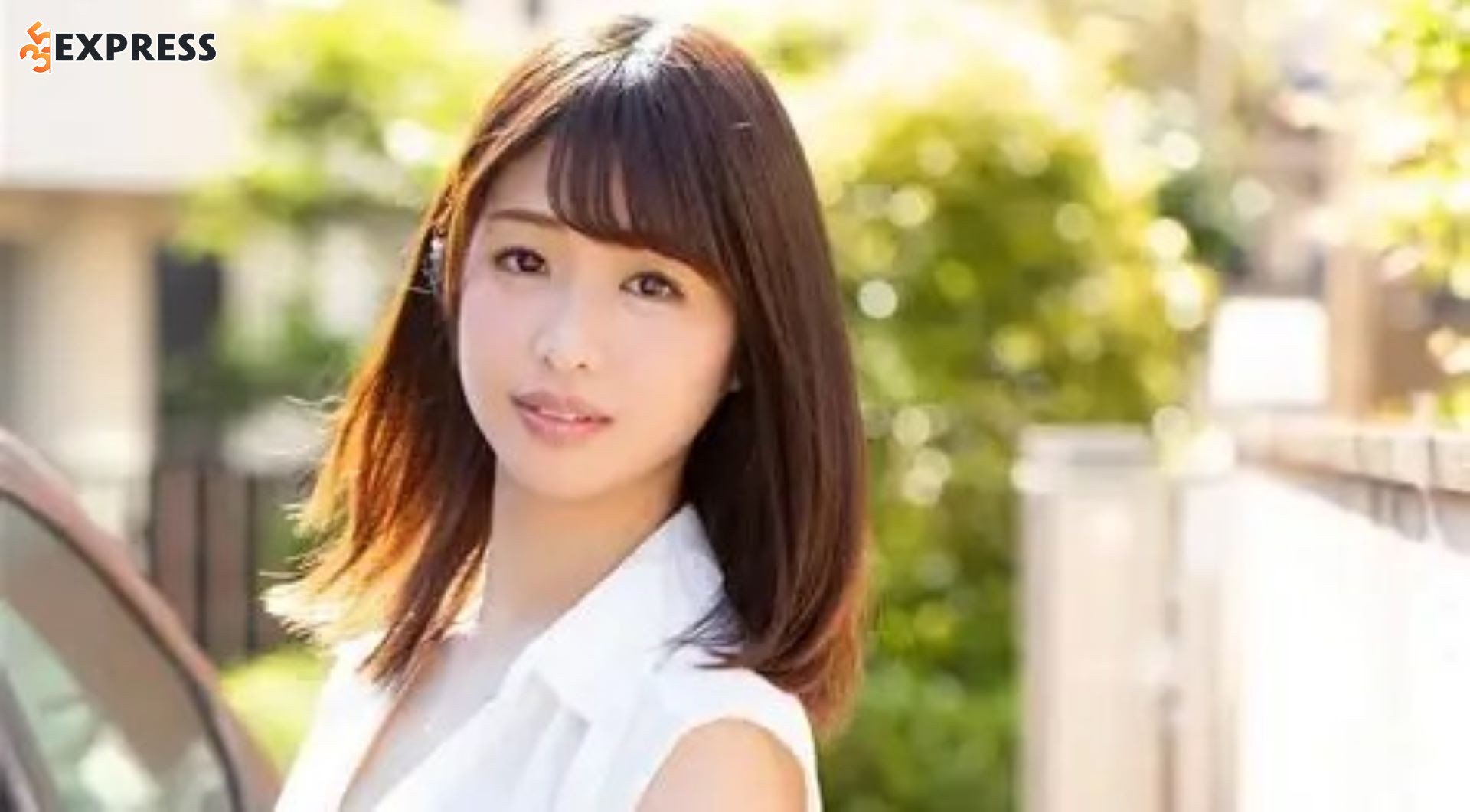 Giai đoạn khởi đầu và thống trị ngành AV