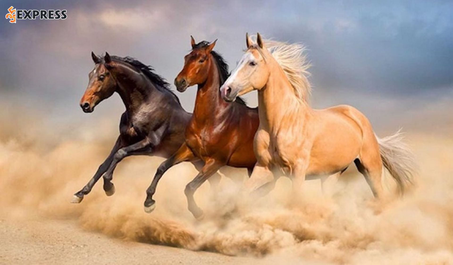 Gợi ý cách hóa giải ở mức cơ bản