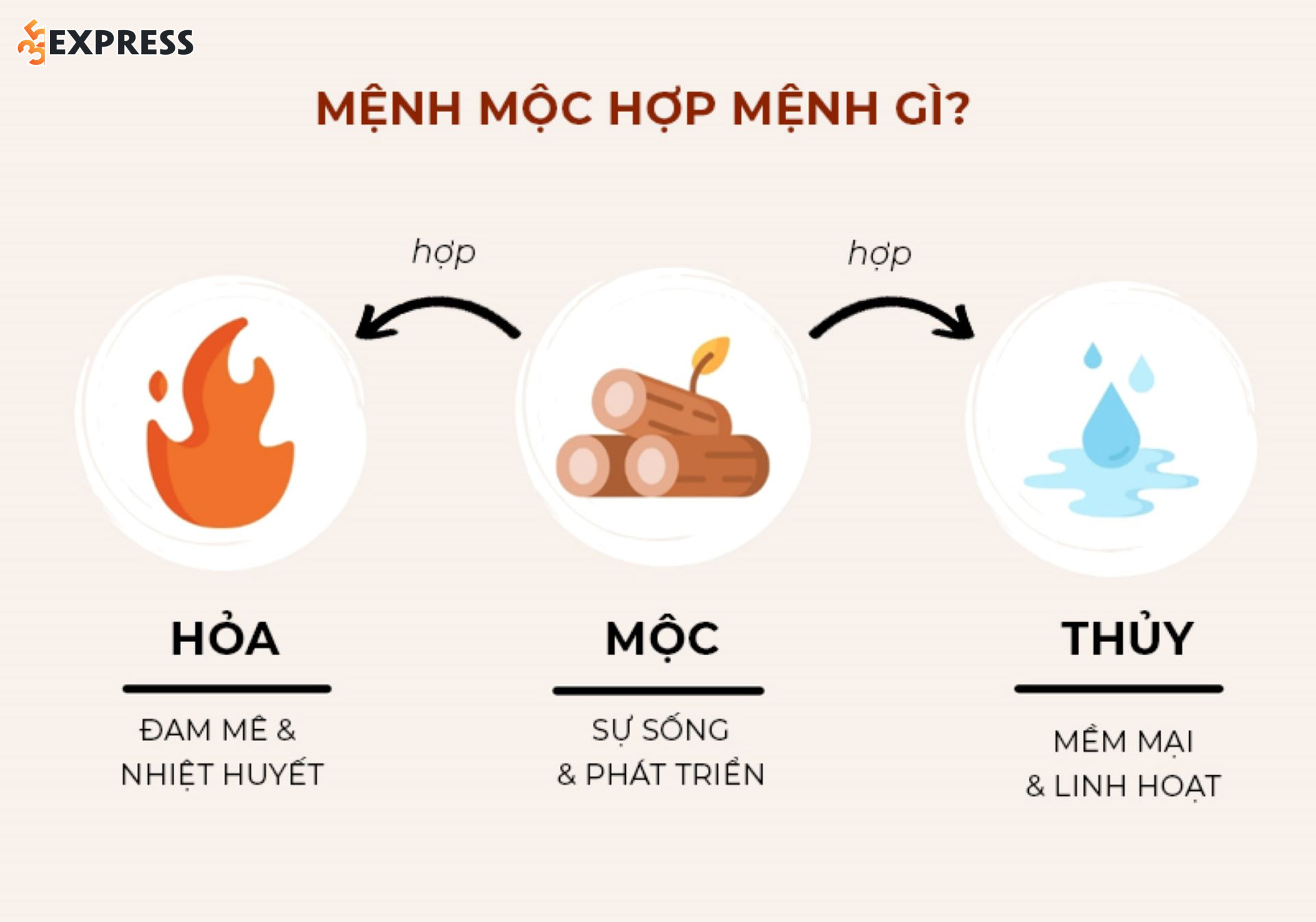 Mệnh mộc hợp mệnh gì