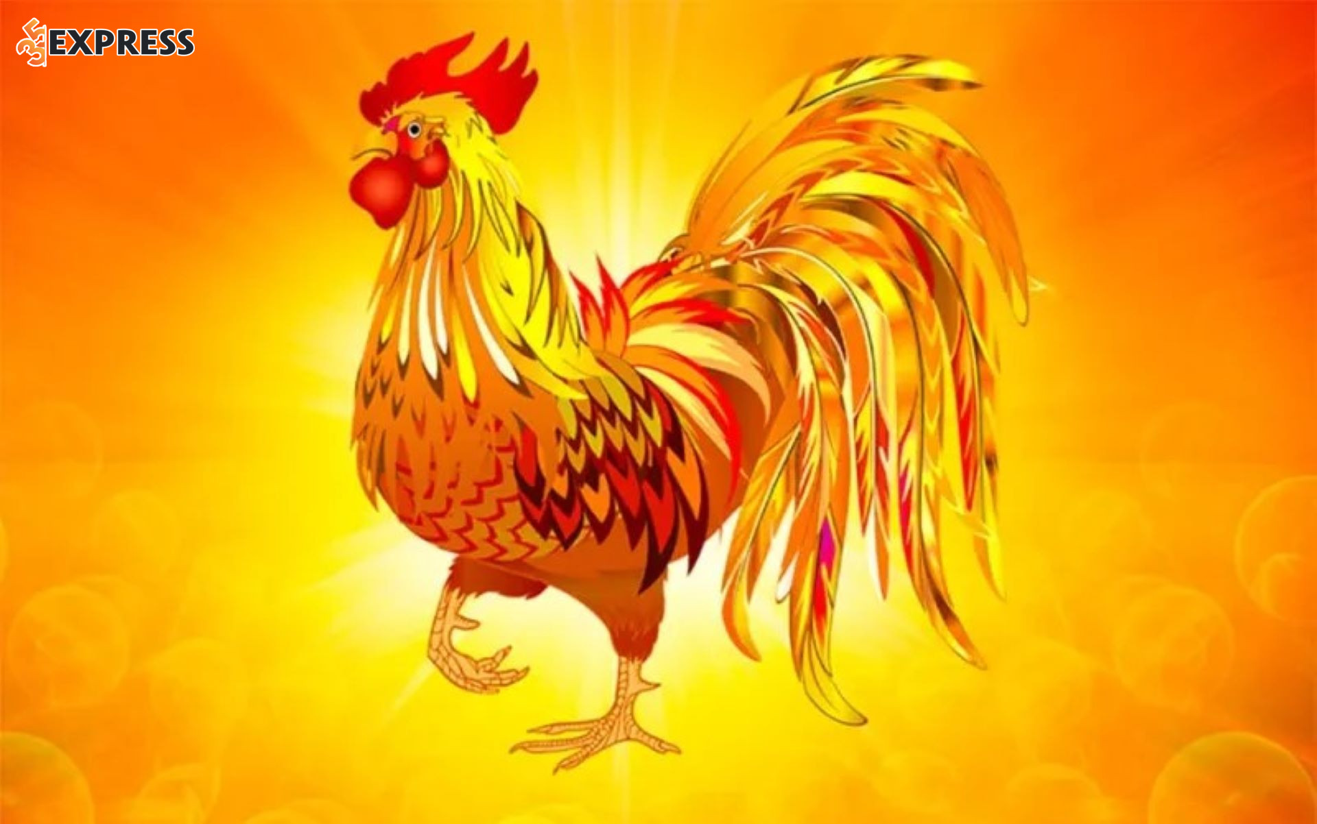 Nên tập trung củng cố nền tảng công việc hiện tại