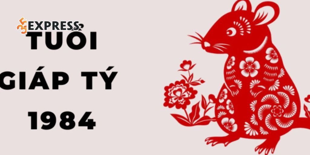 Phân tích chi tiết vận trình tuổi Tý 2026 trên 4 phương diện