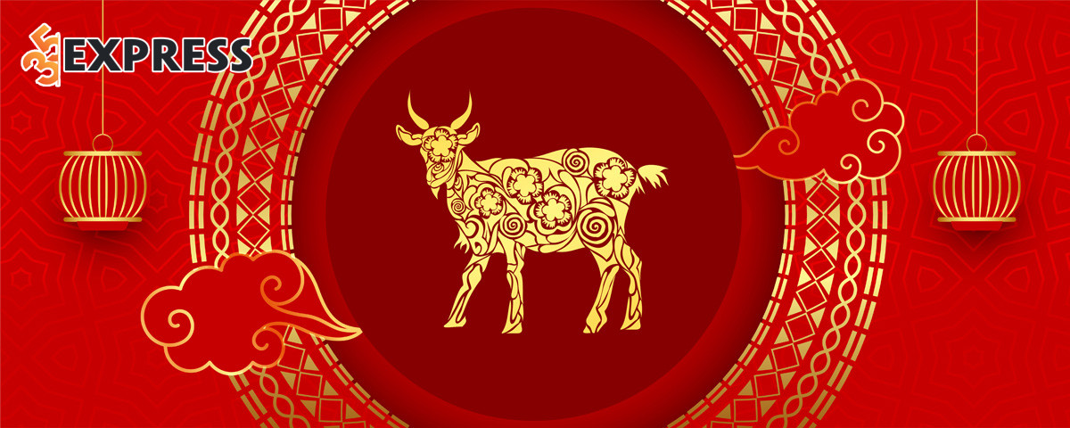 Quý mùi 2003 có nên làm việc lớn trong năm 2026?