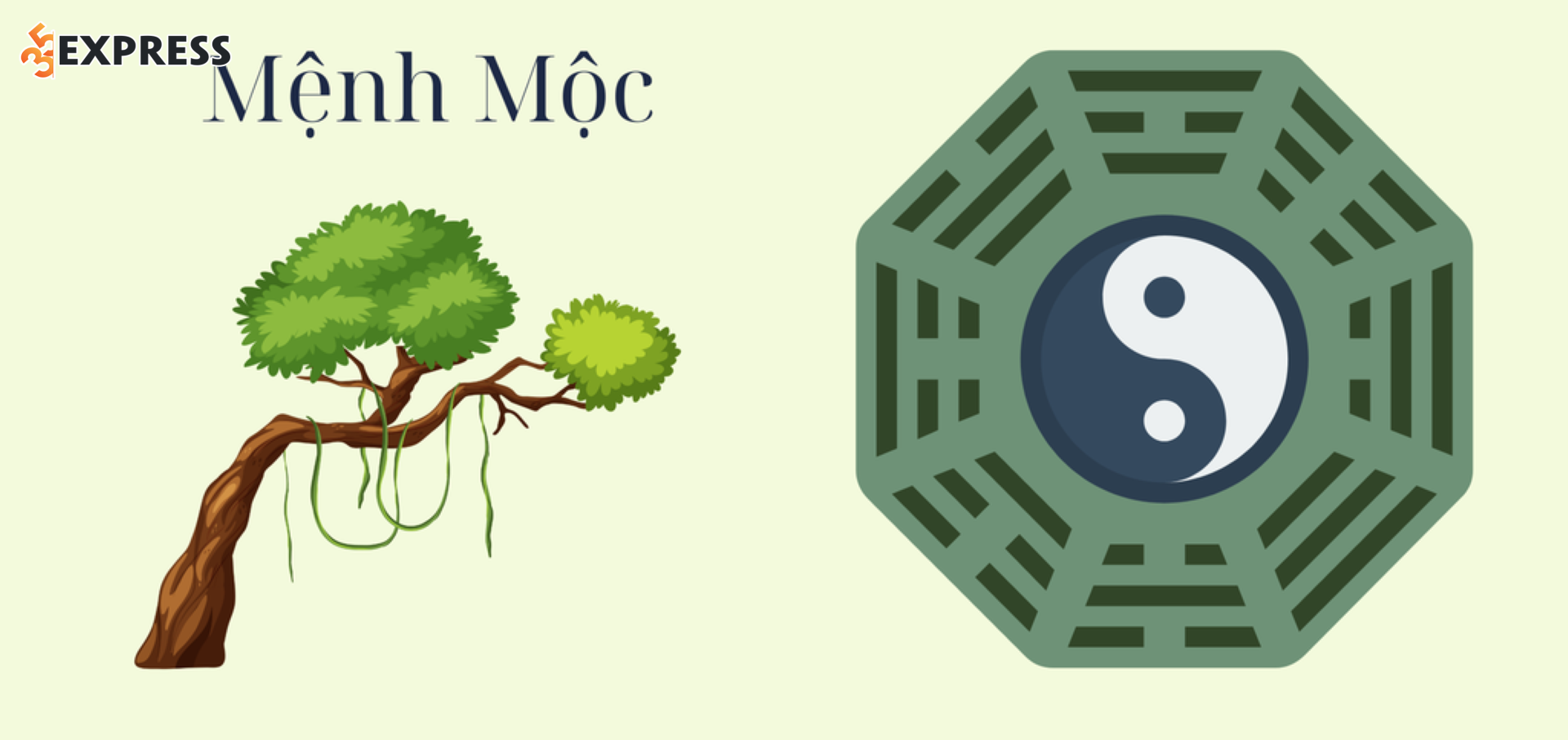 Tổng thể, vận trình của người có trụ tháng 2 (thường là Chi Dần) có xu hướng mạnh mẽ, nhiều tham vọng, vừa tồn tại cơ hội bứt phá