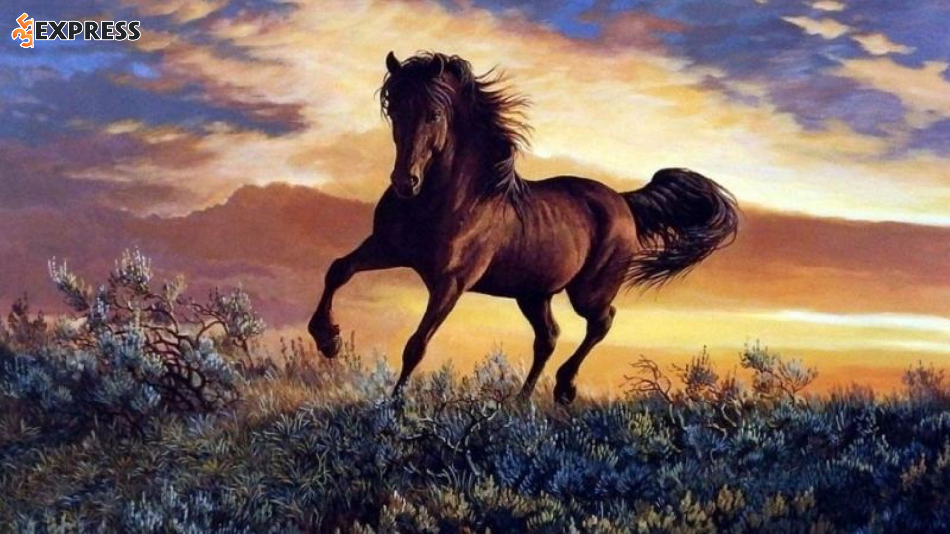 Tử vi, phong thủy, số mạng về tuổi Ngọ