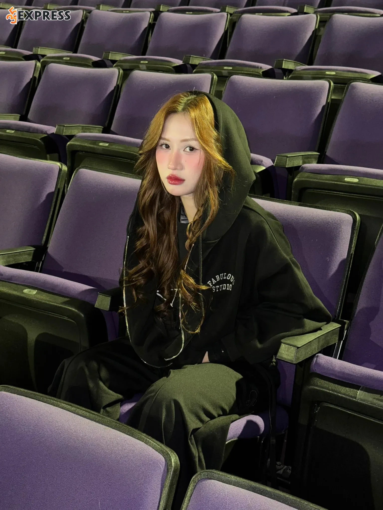 Hành trình sự nghiệp của Phạm Hoàng Kim Dung