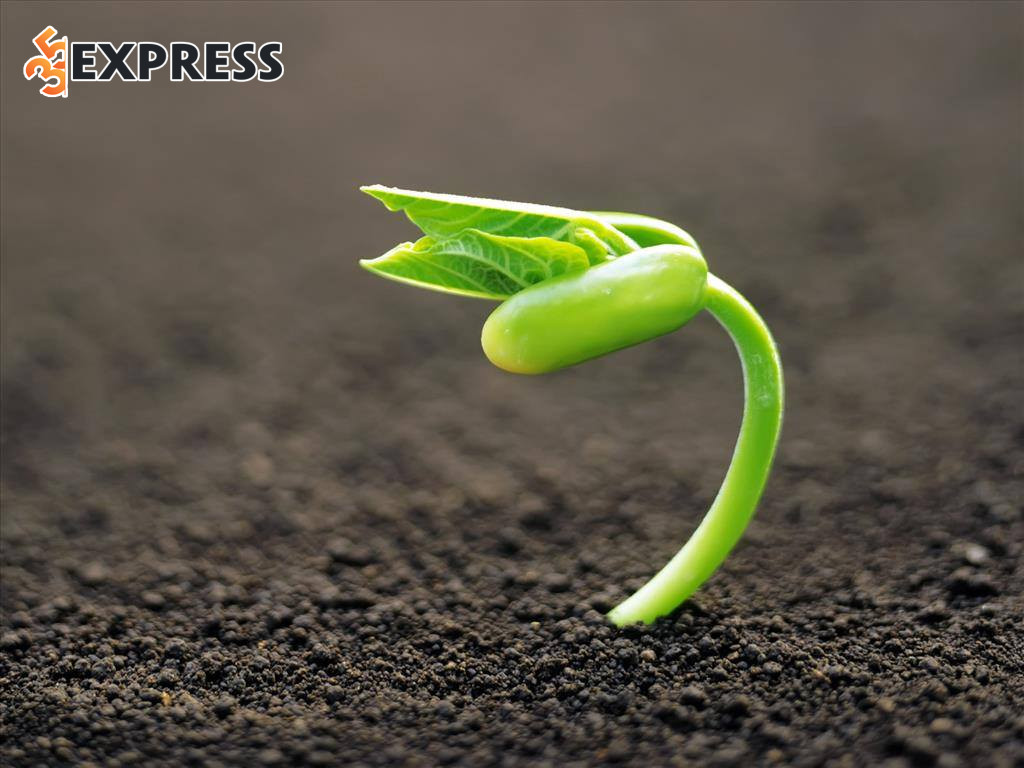 Hành trình hoàn tất, buông bỏ để tái sinh