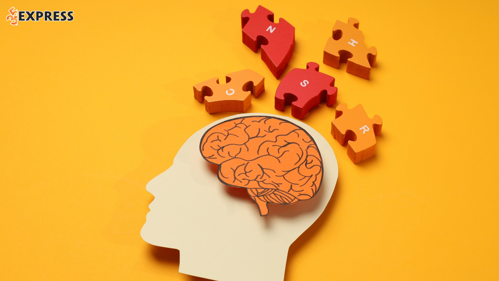 Nhạy bén và trí tưởng tượng phong phú