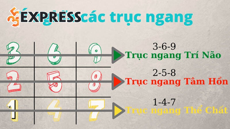 Biểu đồ ngày sinh là gì?