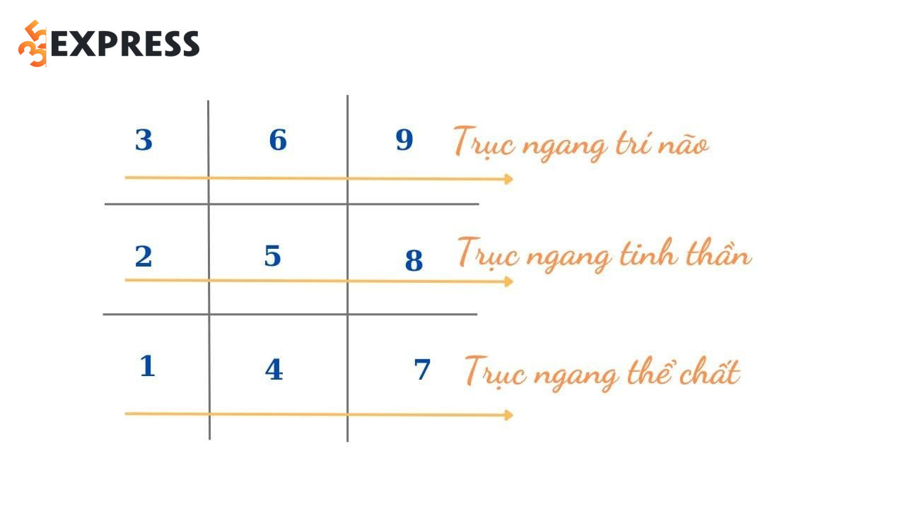 Ứng dụng của Biểu đồ ngày sinh trong cuộc sống