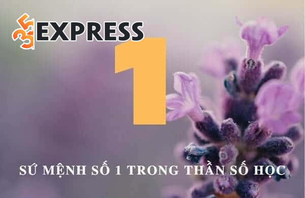 Chỉ số sứ mệnh 1 là gì?