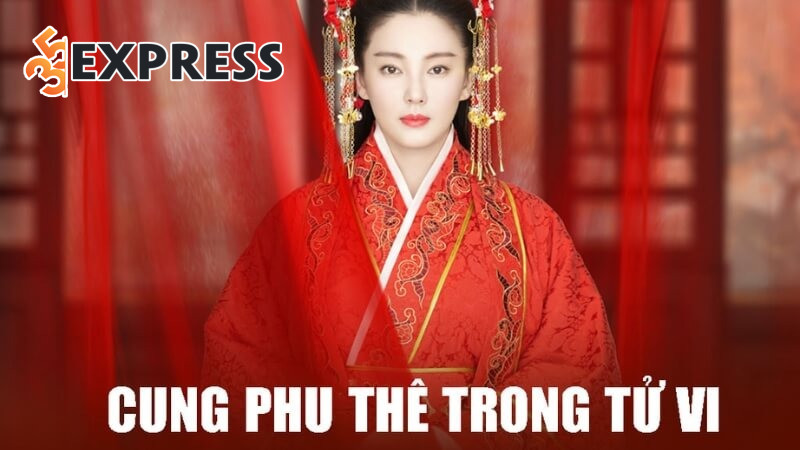 Cung Phu Thê: Bí mật hôn nhân