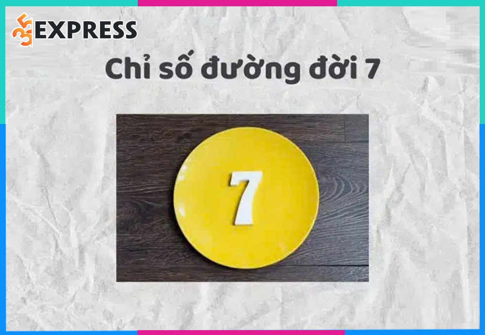 Chỉ số đường đời 7 là gì?