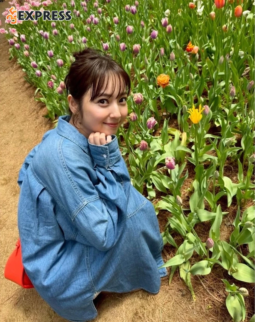 Hành trình sự nghiệp của Nozomi Sasaki