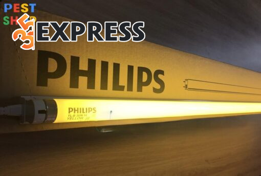 Bóng đèn vàng đuổi côn trùng Philips