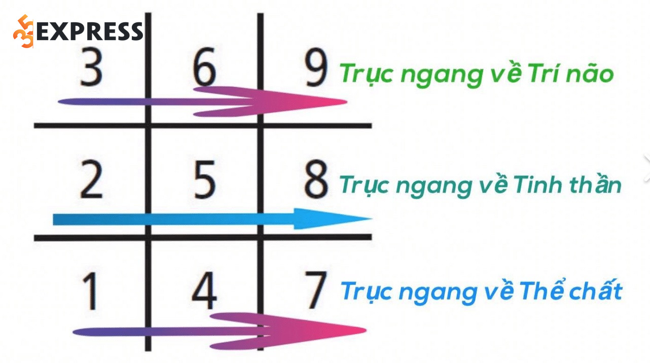 Con số chủ đạo