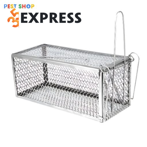 Giải pháp kiểm soát chuột và động vật gây hại