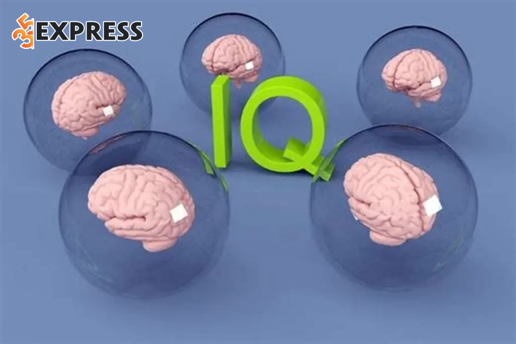 IQ, hay chỉ số thông minh, là thước đo khả năng tư duy logic