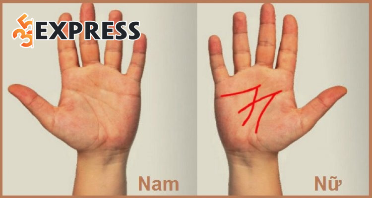 Kiểu chỉ tay hiếm, hình thành từ các đường Tâm đạo, Trí đạo, Sinh đạo và Định mệnh giao nhau