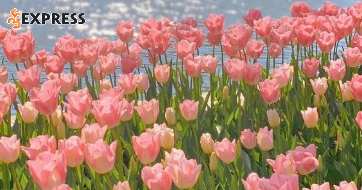 Màu sắc phù hợp với cung Bạch Dương trong tình yêu