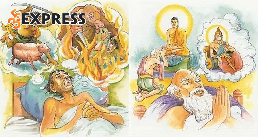Quy luật Nhân quả và Luân hồi