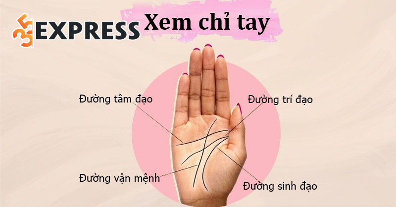 Quy tắc xem chỉ tay