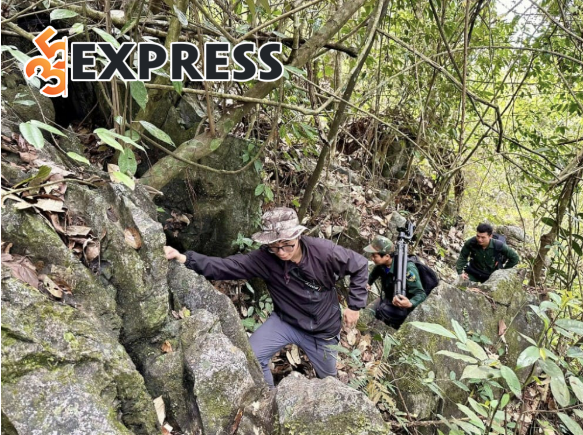 Hình ảnh kiểm lâm 