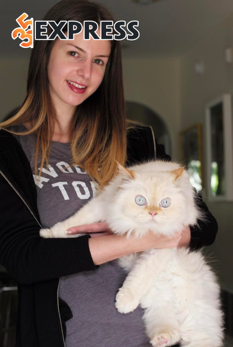Stella Cox sinh ra và lớn lên trong một gia đình tại Anh quốc