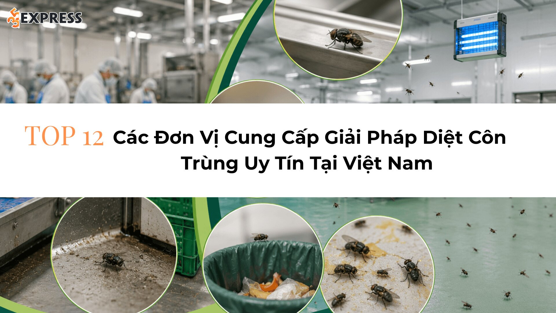 TOP 12 Các Đơn Vị Cung Cấp Giải Pháp Diệt Côn Trùng Uy Tín Tại Việt Nam
