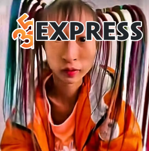Tiểu sử, sự nghiệp, đời tư Chinese Kick Girl