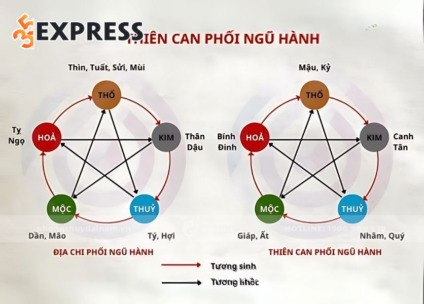 Cân bằng các yếu tố trong bát tự