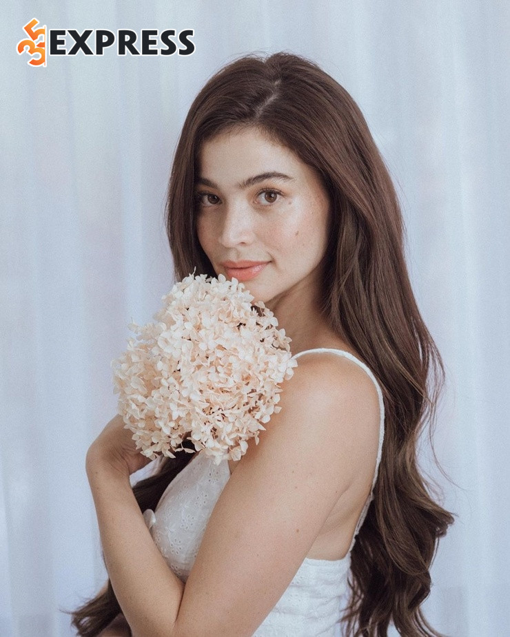 Thành tựu, giải thưởng Anne Curtis