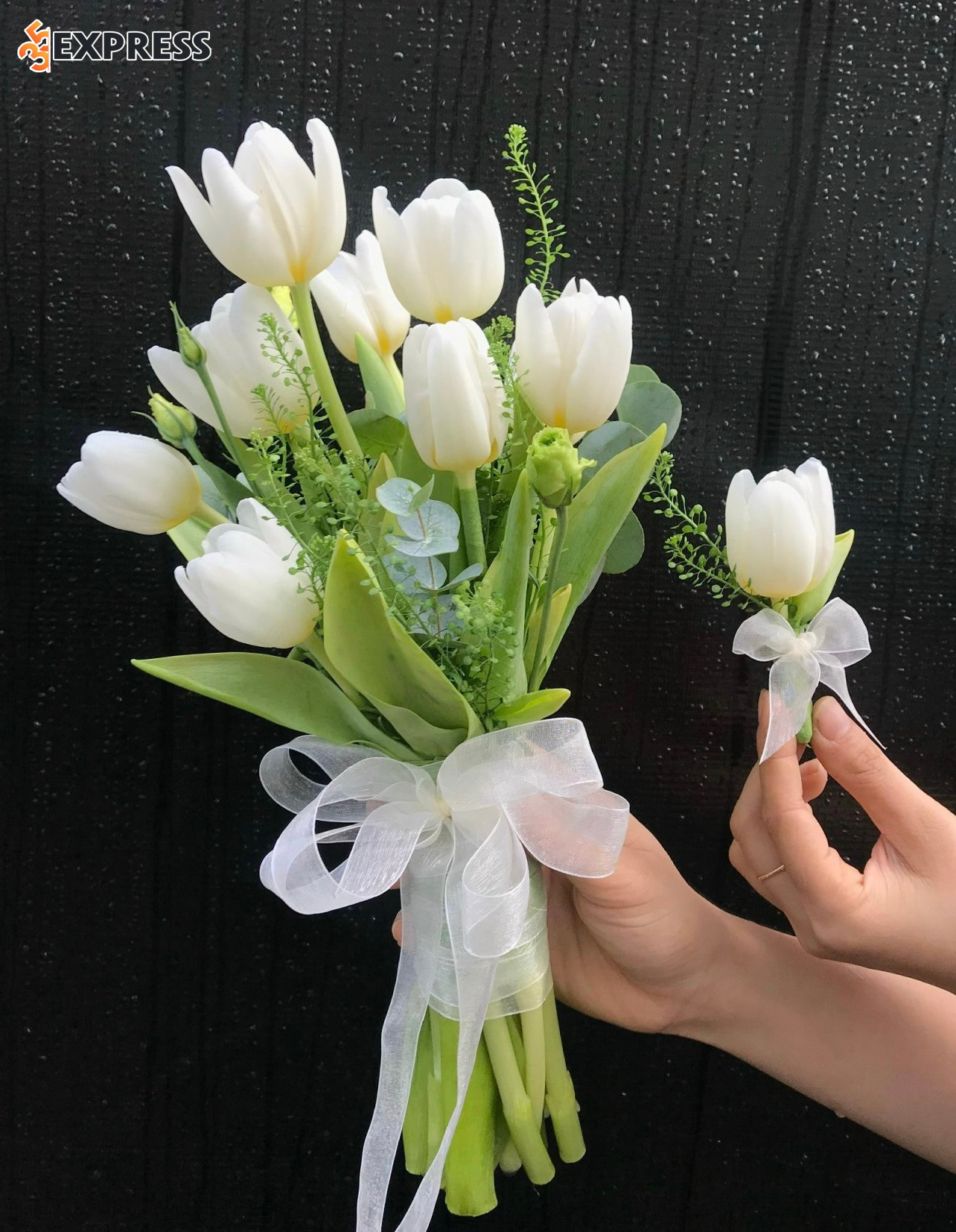 Hoa Tulip cho cung Bảo Bình