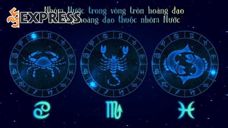Cung hoàng đạo nhóm Nước