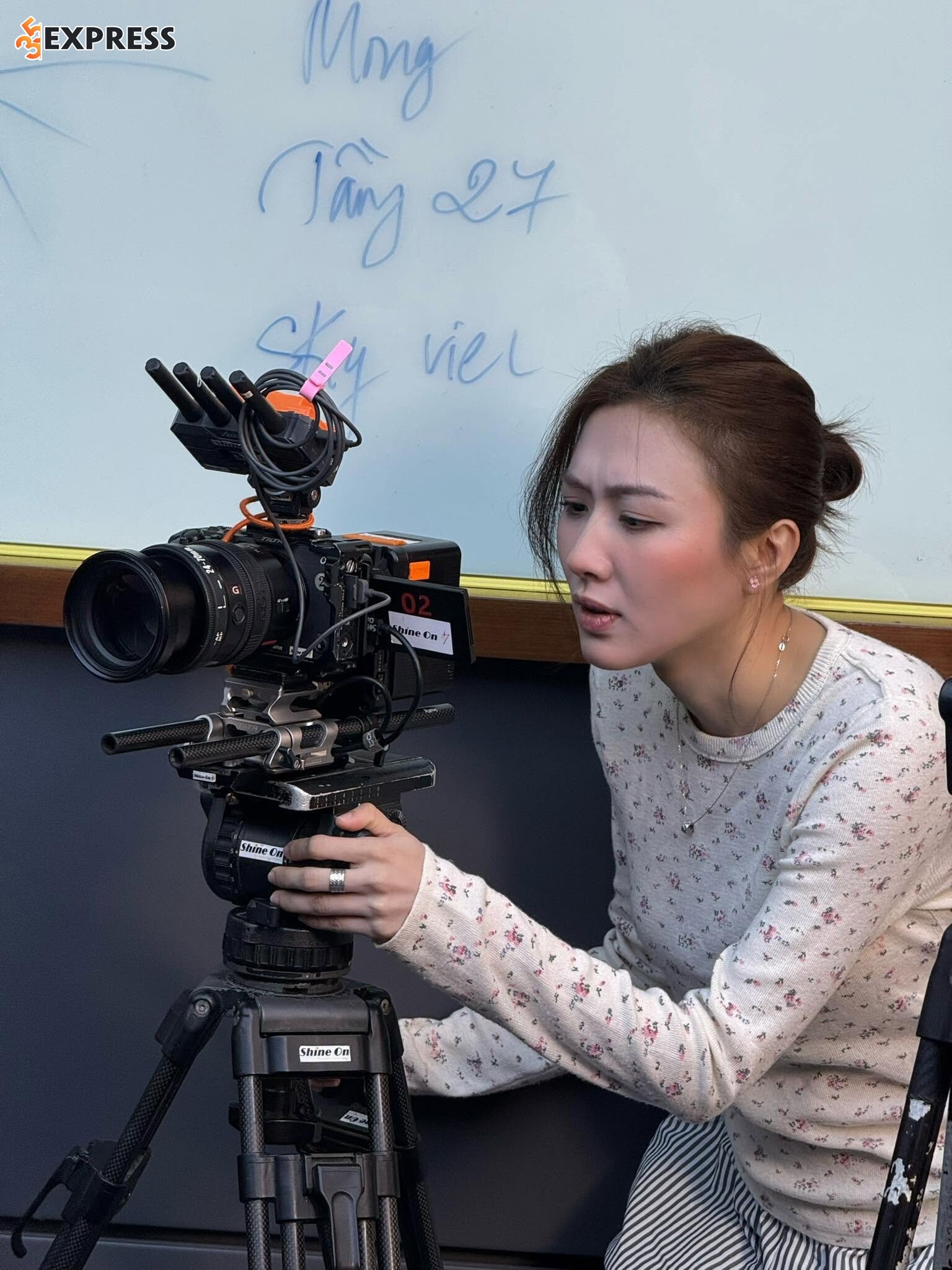 Lê Khánh Linh là ai