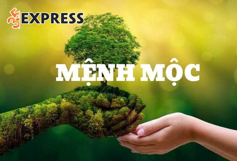 Tên Khôi thuộc mệnh