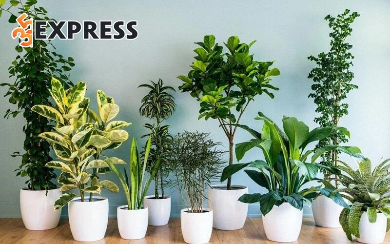 Tên Kiệt thuộc mệnh