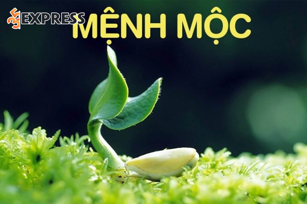 Tên Kiều thuộc mệnh Mộc