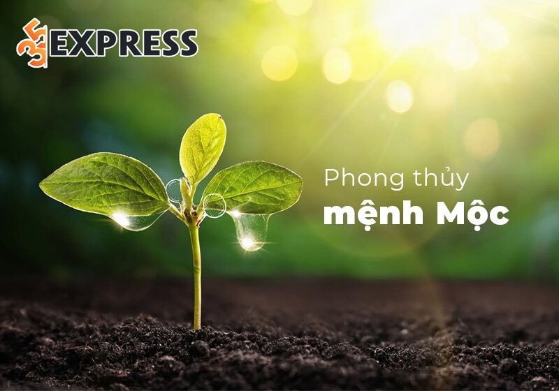 Tên Nguyên thuộc mệnh Mộc
