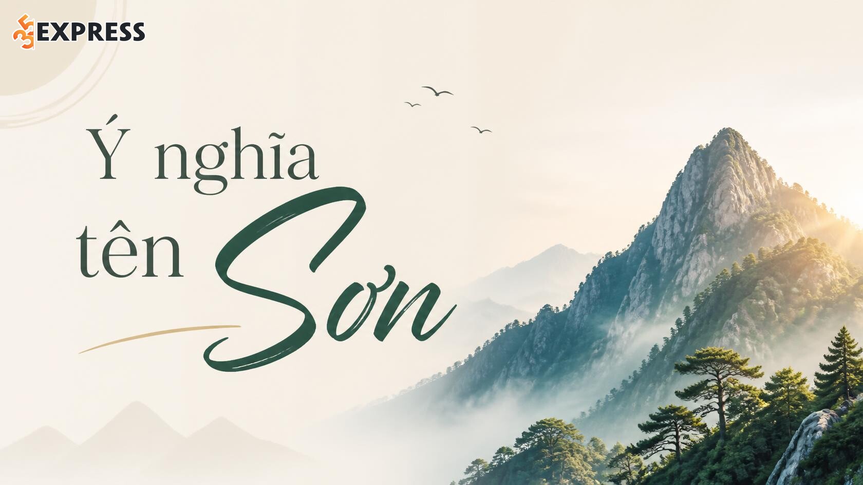 Ý nghĩa tên Sơn