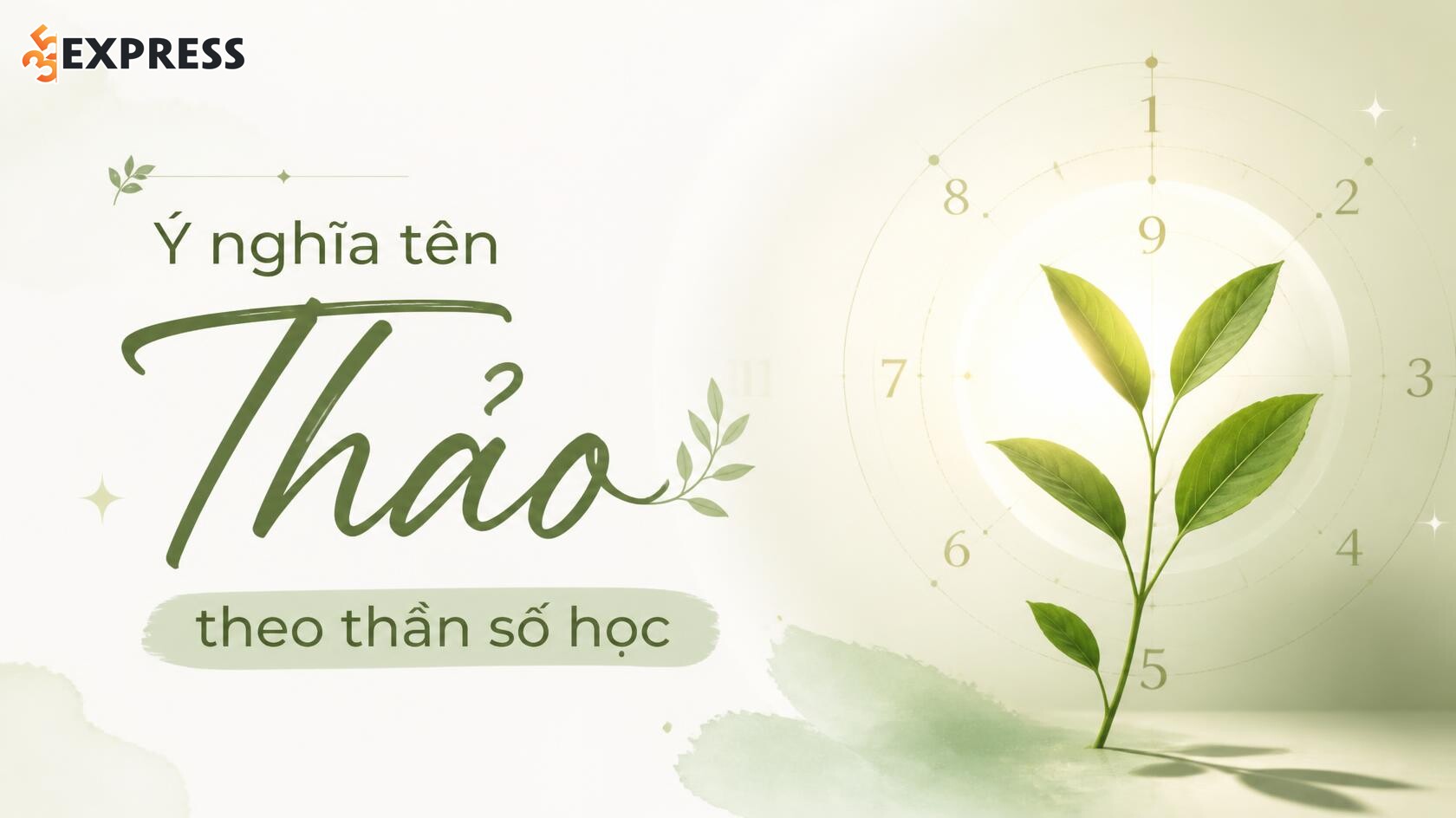 Ý nghĩa tên Thảo theo thần số học