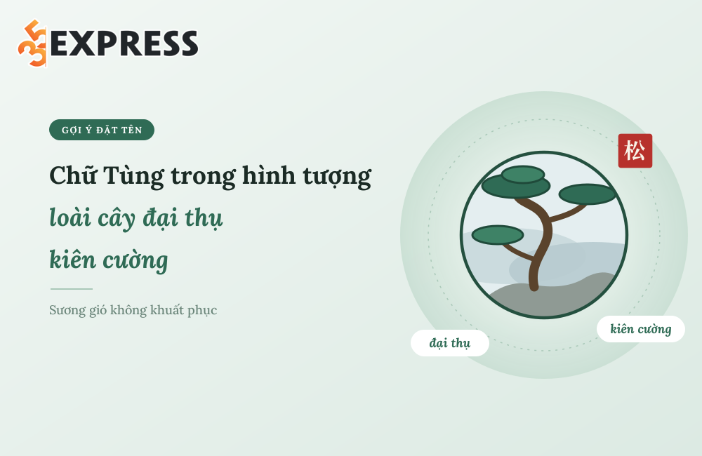 Chữ Tùng trong hình tượng loài cây đại thụ kiên cường