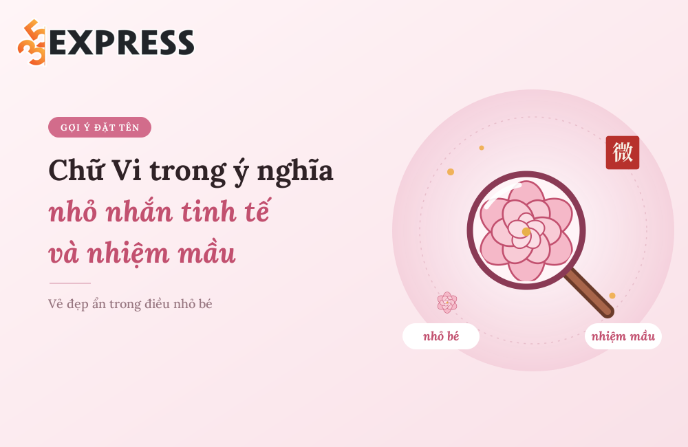 Chữ Vi trong ý nghĩa nhỏ nhắn tinh tế và nhiệm mầu