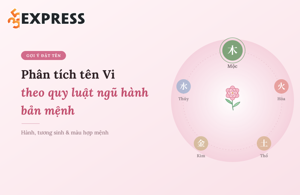 Phân tích tên Vi theo quy luật ngũ hành bản mệnh